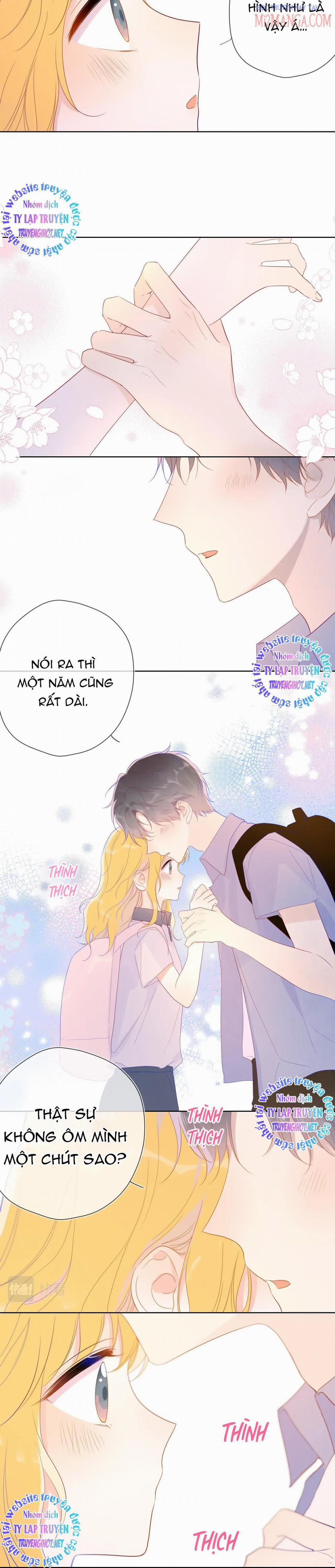 Ngôi Sao Cho Tôi 54 trang 11