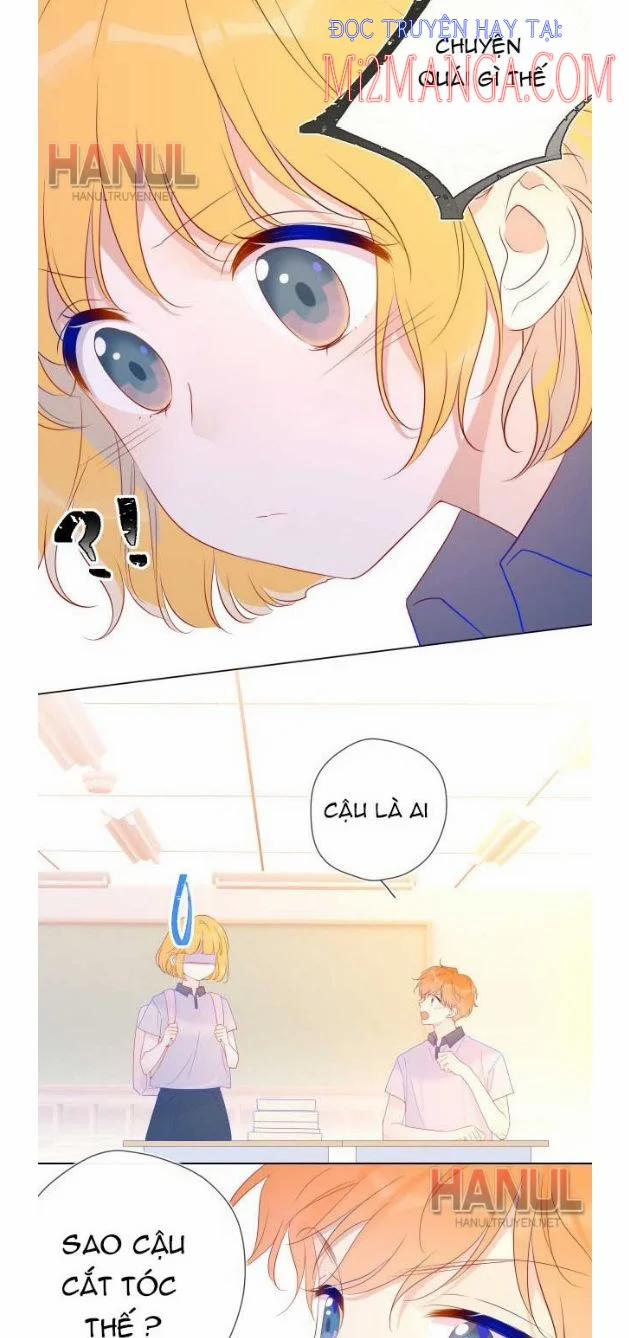 Ngôi Sao Cho Tôi 55 trang 7