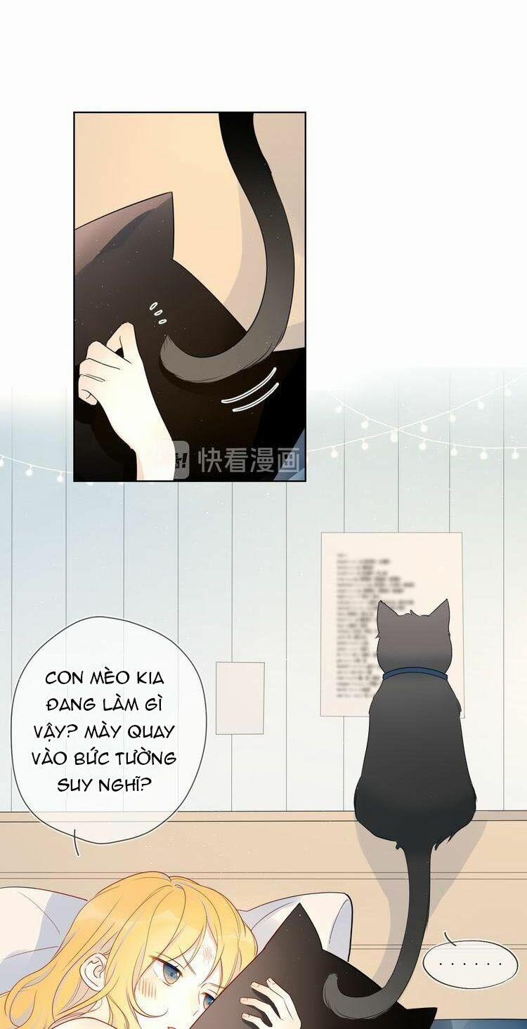 Ngôi Sao Cho Tôi 6 trang 5