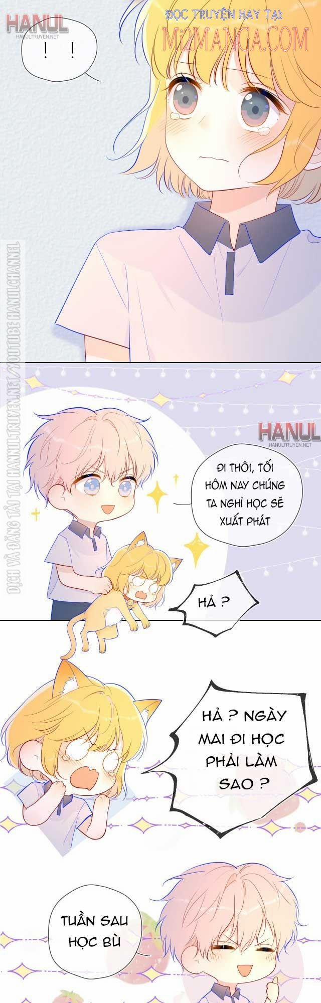 Ngôi Sao Cho Tôi 62 trang 5