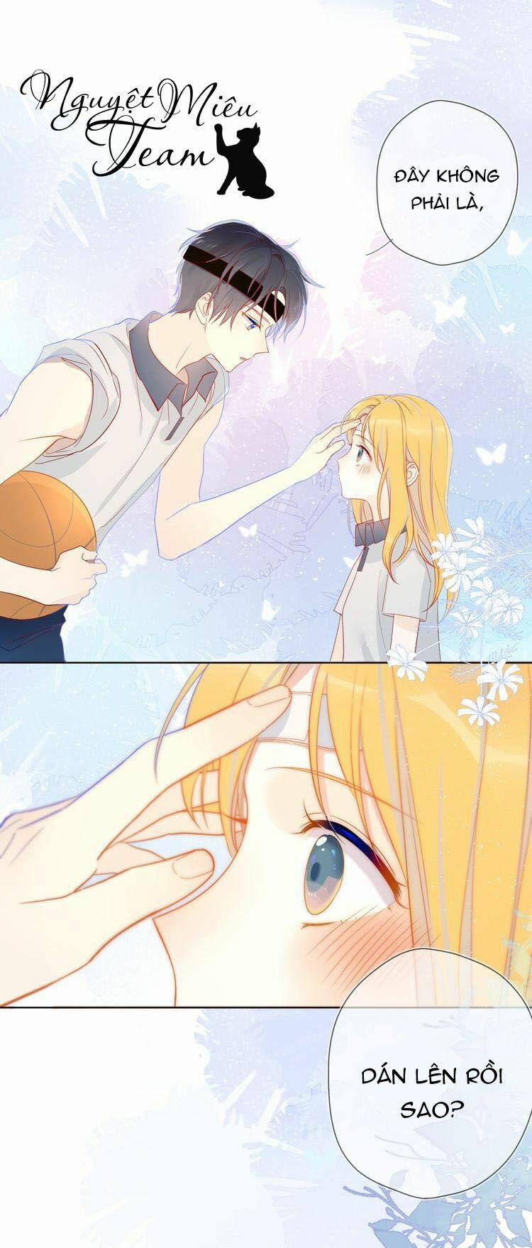 Ngôi Sao Cho Tôi 7 trang 0