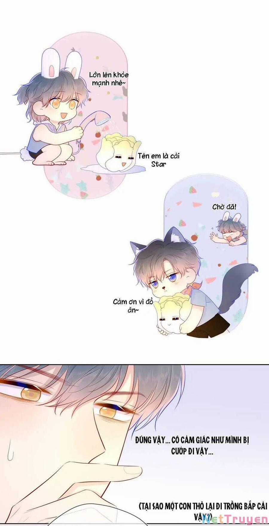 Ngôi Sao Cho Tôi 73 trang 13