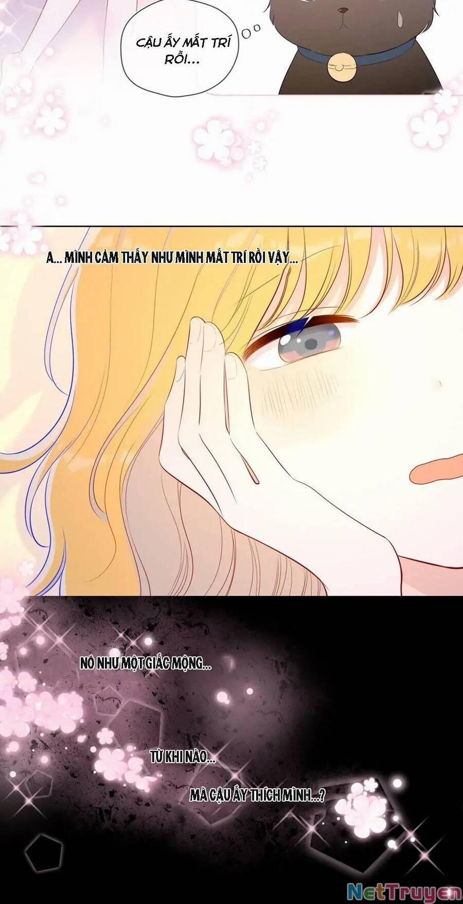 Ngôi Sao Cho Tôi 73 trang 21