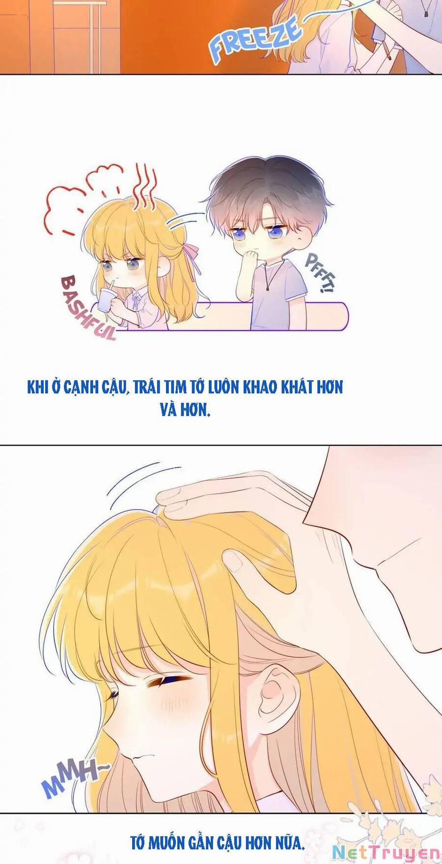 Ngôi Sao Cho Tôi 77 trang 7