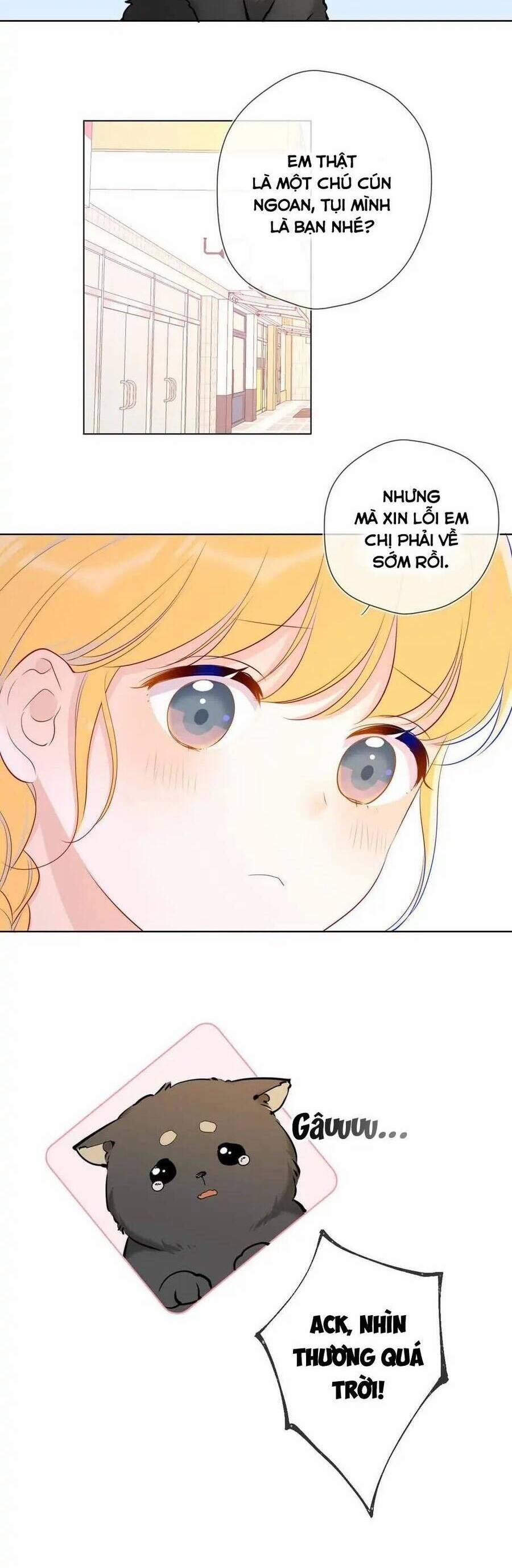 Ngôi Sao Cho Tôi 78 trang 15