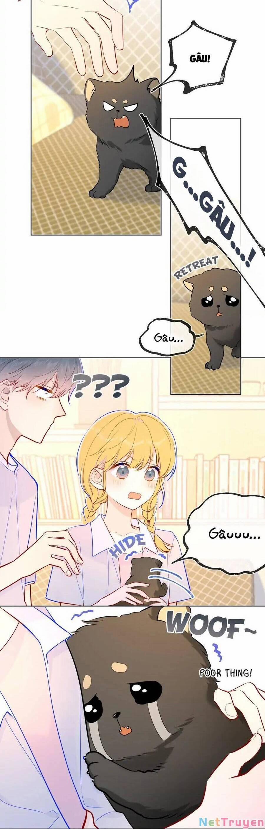 Ngôi Sao Cho Tôi 79 trang 10