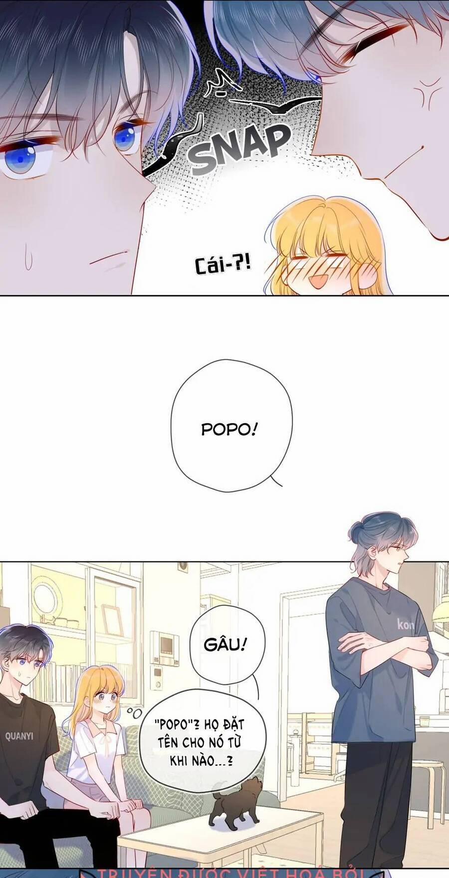 Ngôi Sao Cho Tôi 82 trang 6