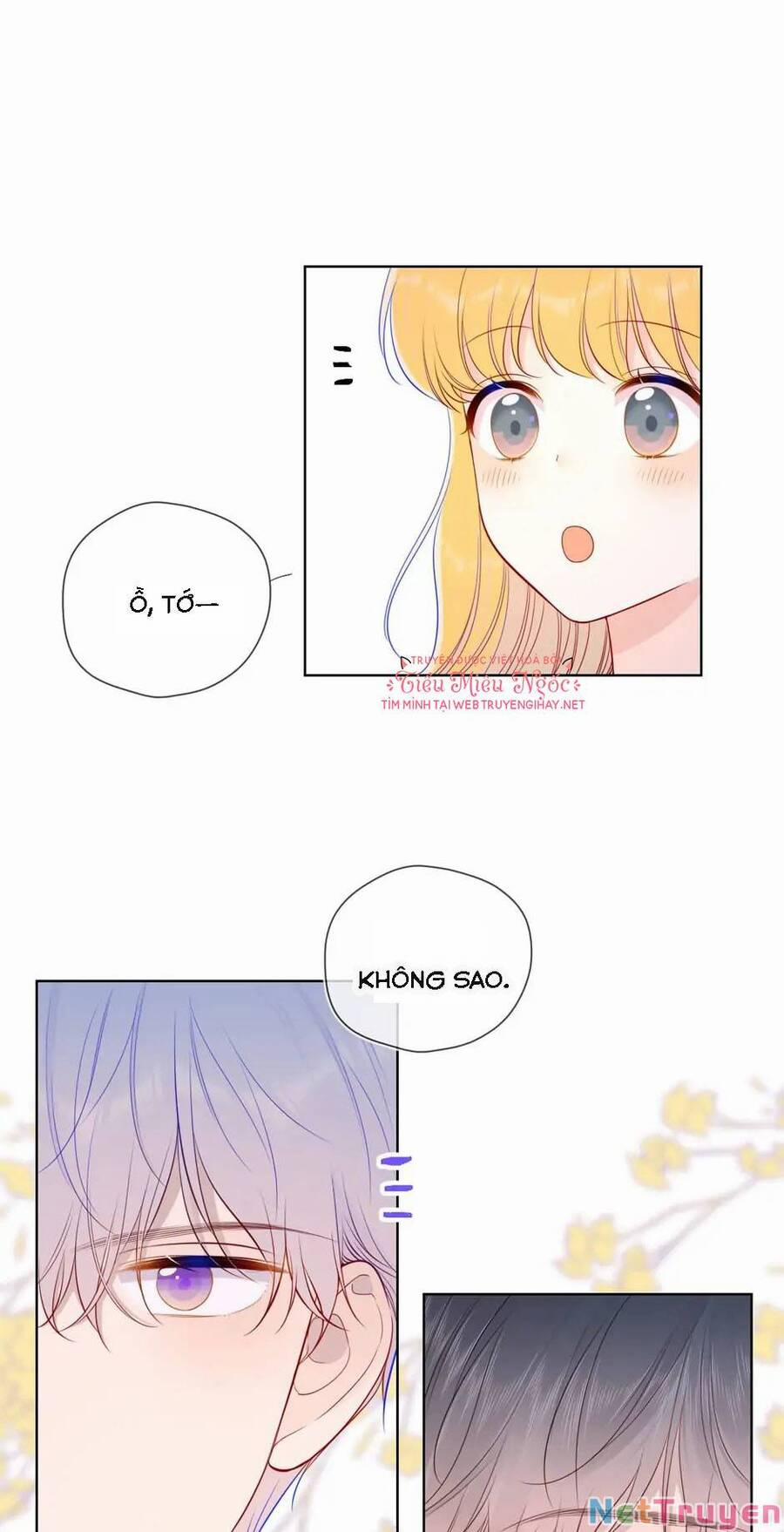 Ngôi Sao Cho Tôi 84 trang 18