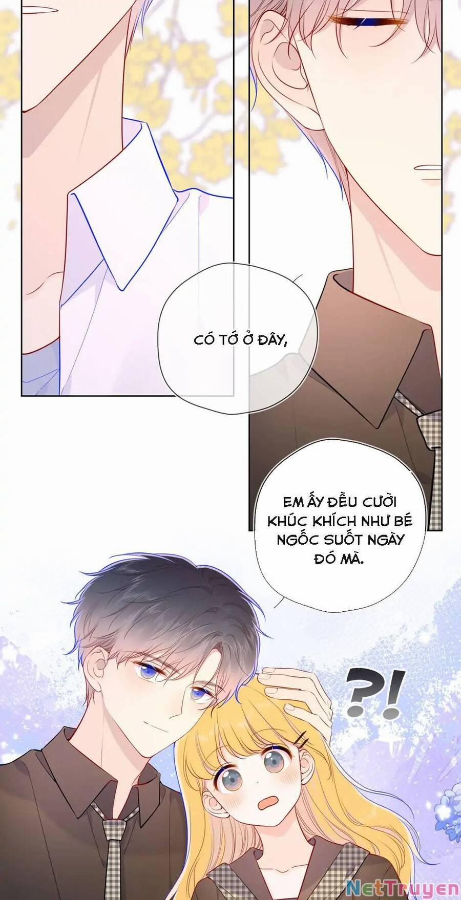 Ngôi Sao Cho Tôi 84 trang 19