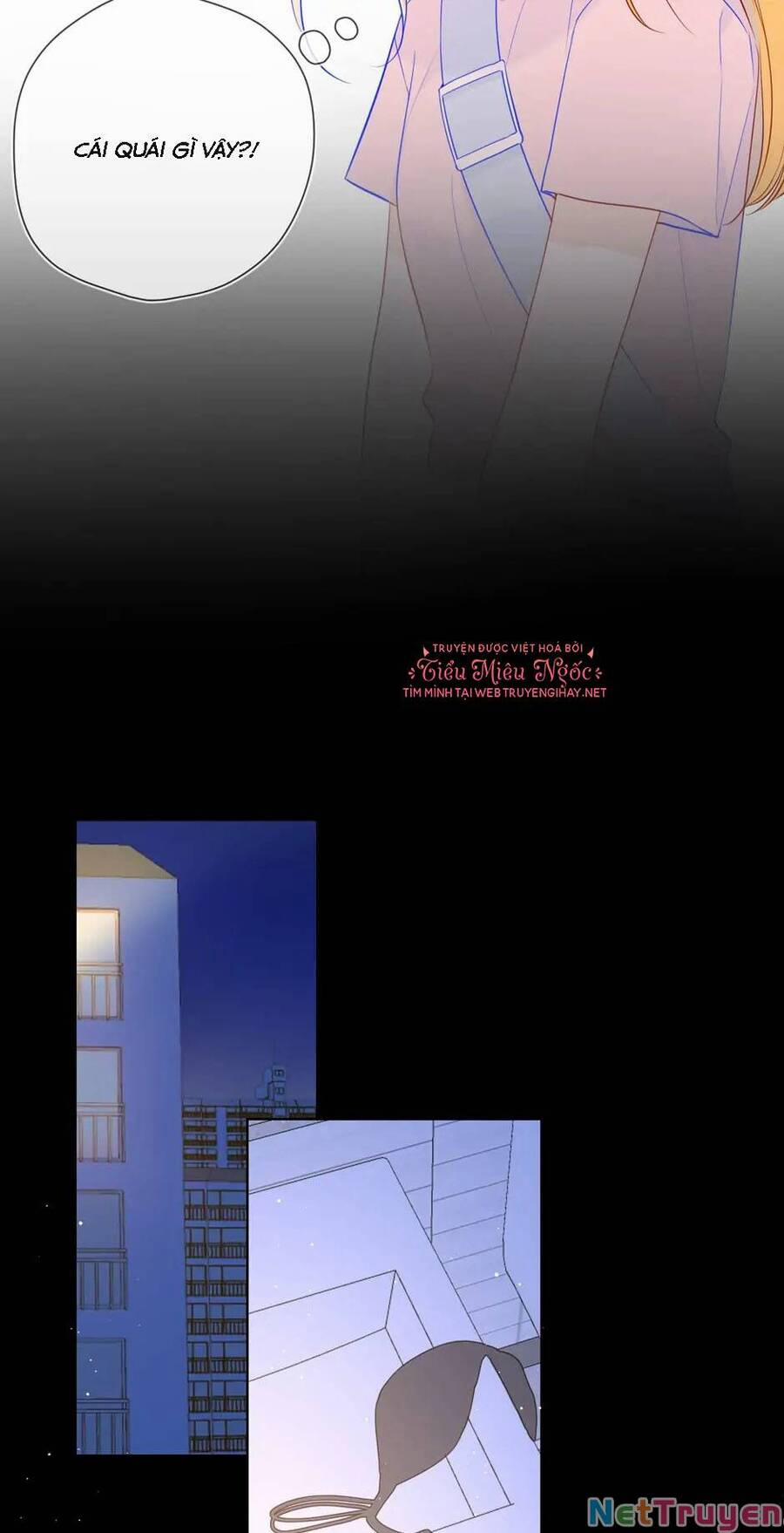 Ngôi Sao Cho Tôi 87 trang 13