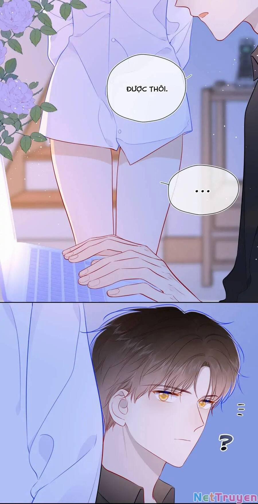 Ngôi Sao Cho Tôi 87 trang 17