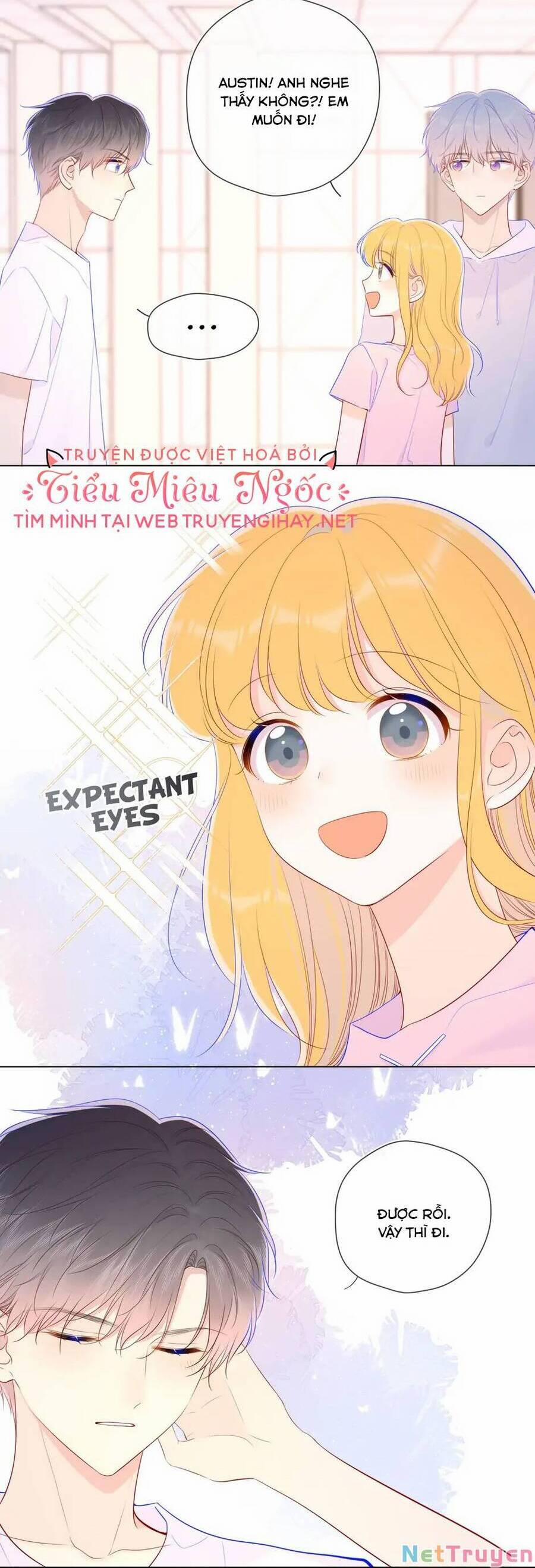 Ngôi Sao Cho Tôi 90 trang 11