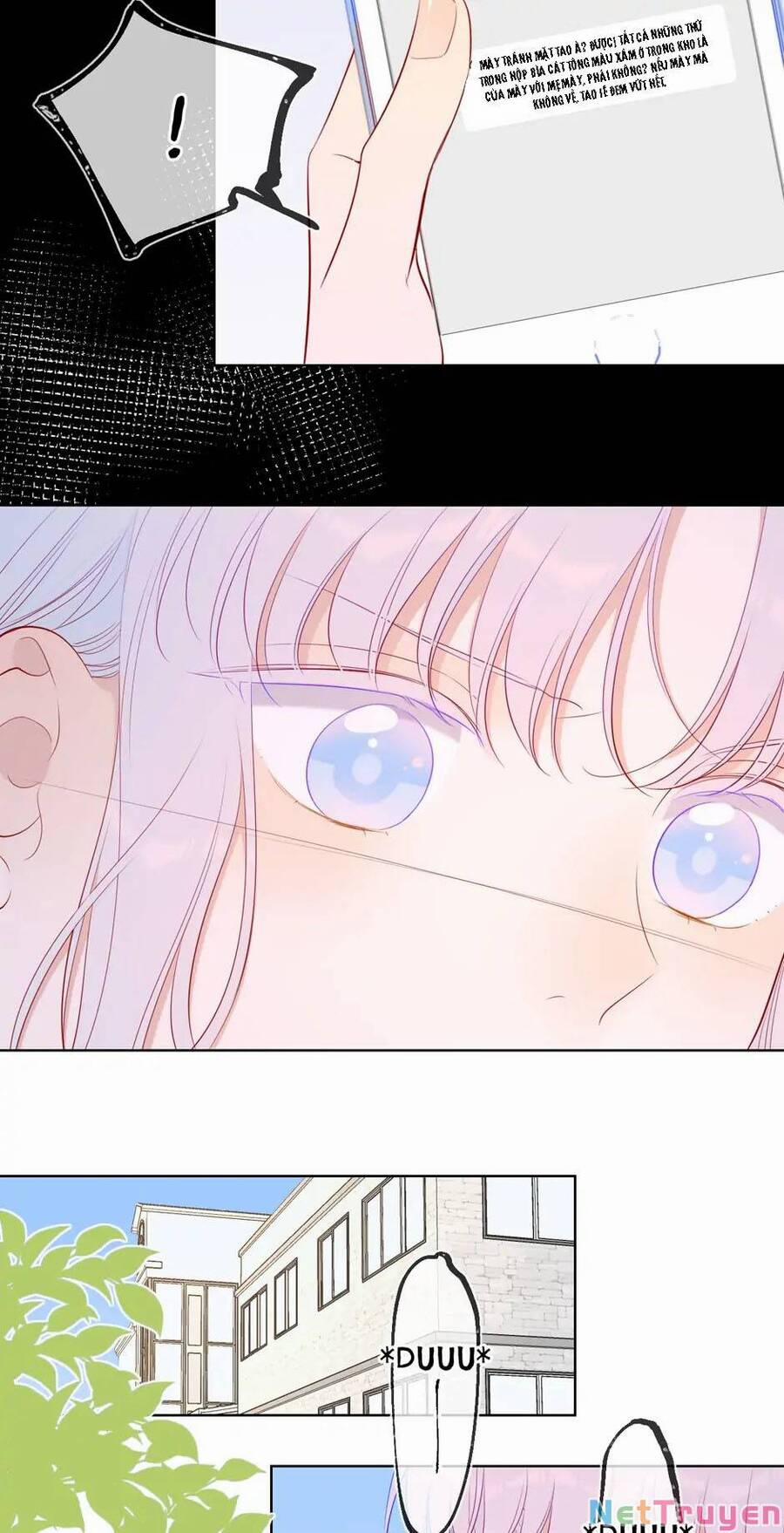 Ngôi Sao Cho Tôi 92 trang 20