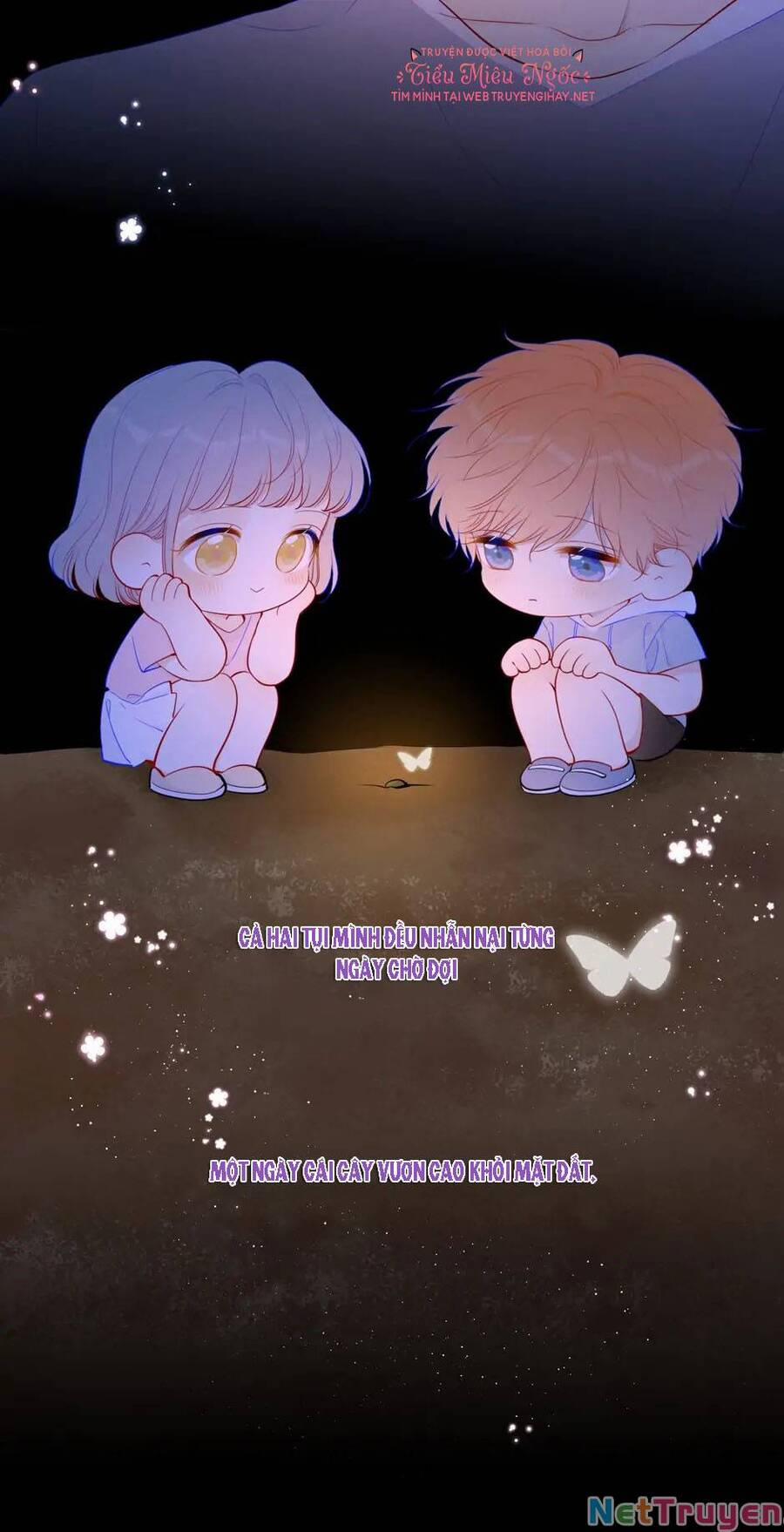 Ngôi Sao Cho Tôi 92 trang 4