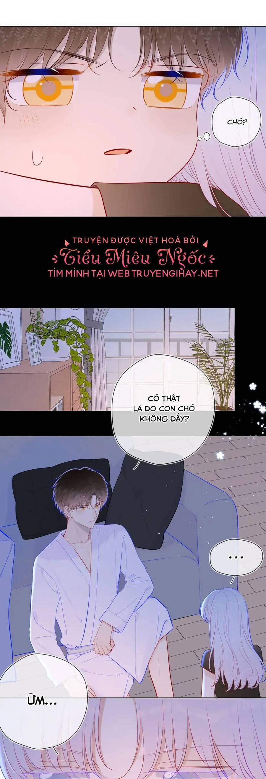 Ngôi Sao Cho Tôi 93 trang 4