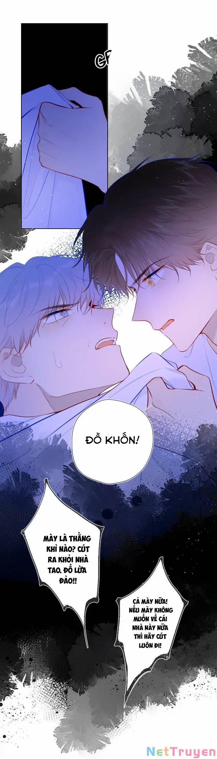 Ngôi Sao Cho Tôi 95 trang 19