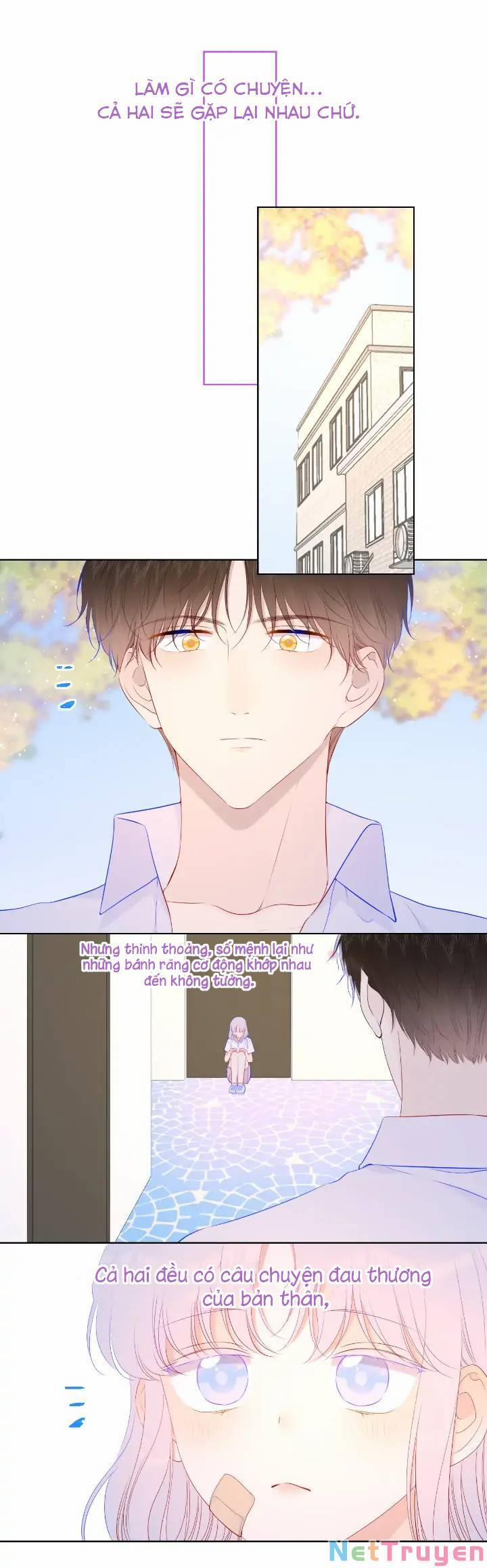 Ngôi Sao Cho Tôi 96 trang 16