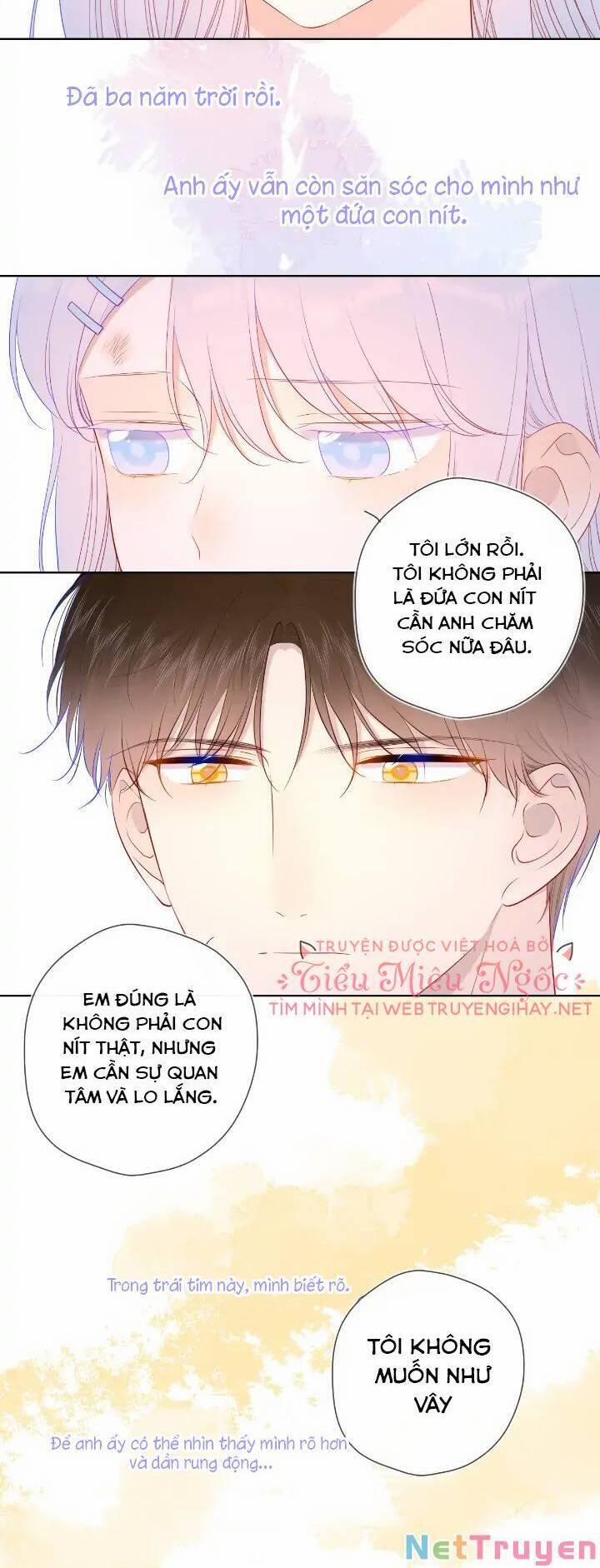 Ngôi Sao Cho Tôi 96 trang 19