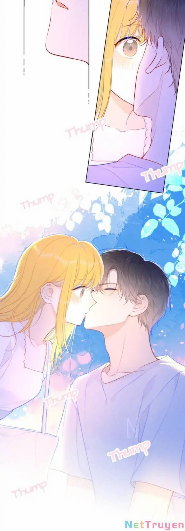 Ngôi Sao Cho Tôi 97 trang 14