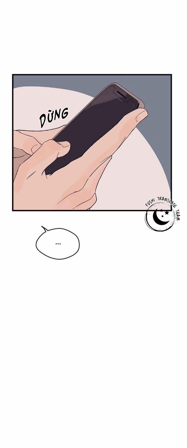 Ngôi Sao Trên Sàn Diễn 11 trang 12