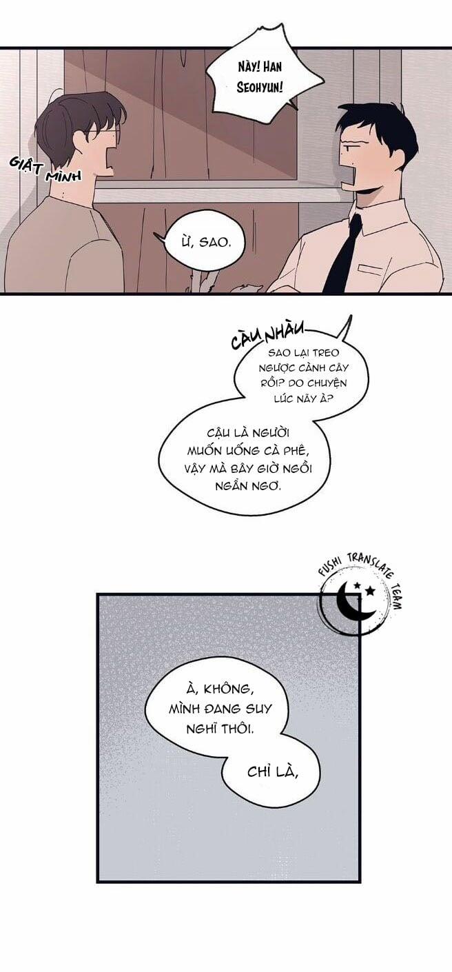 Ngôi Sao Trên Sàn Diễn 11 trang 6