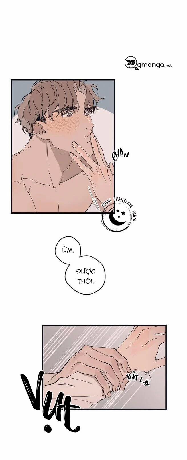 Ngôi Sao Trên Sàn Diễn 13 trang 6