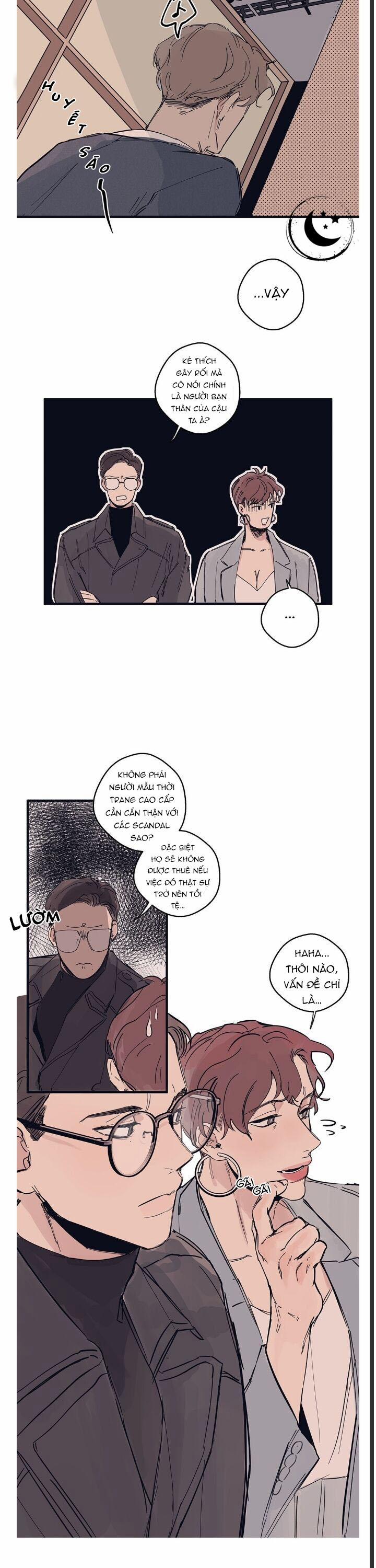 Ngôi Sao Trên Sàn Diễn 3 trang 2