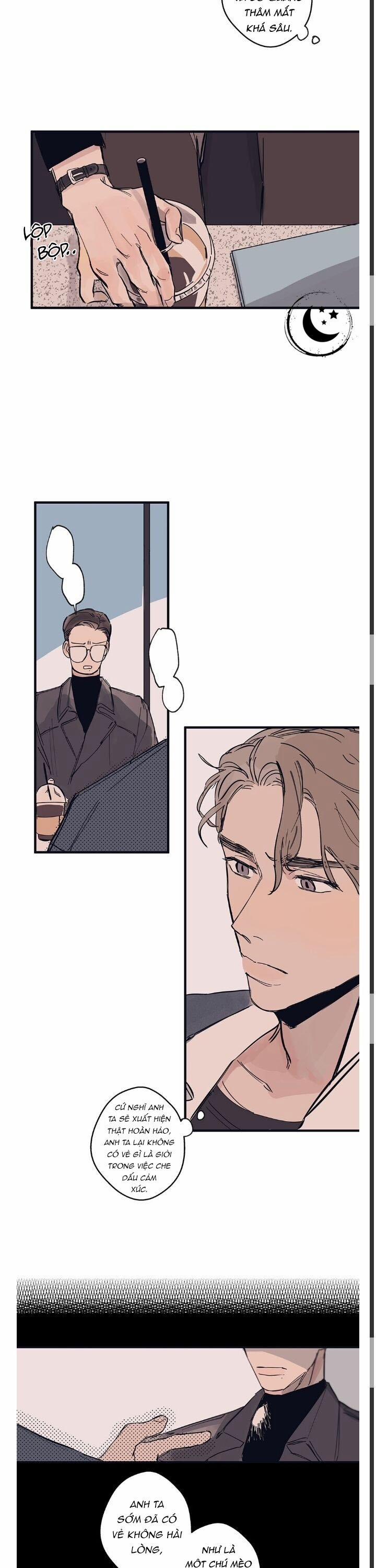 Ngôi Sao Trên Sàn Diễn 3 trang 8