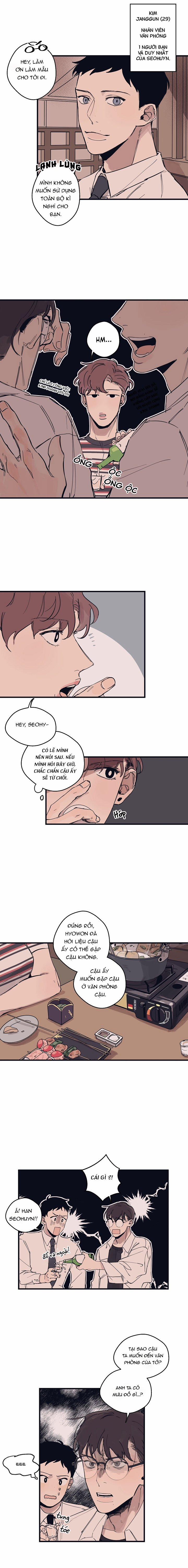 Ngôi Sao Trên Sàn Diễn 5 trang 1