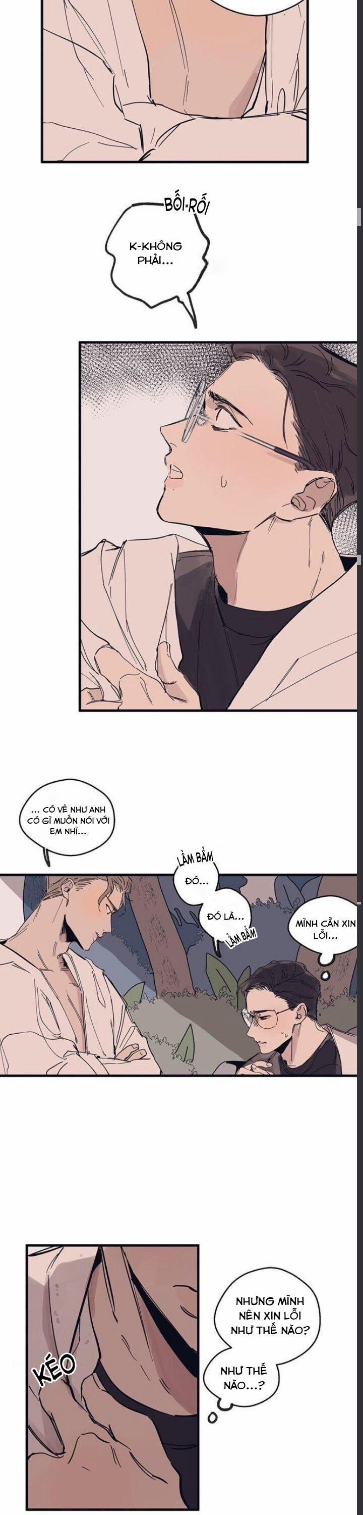 Ngôi Sao Trên Sàn Diễn 6 trang 15