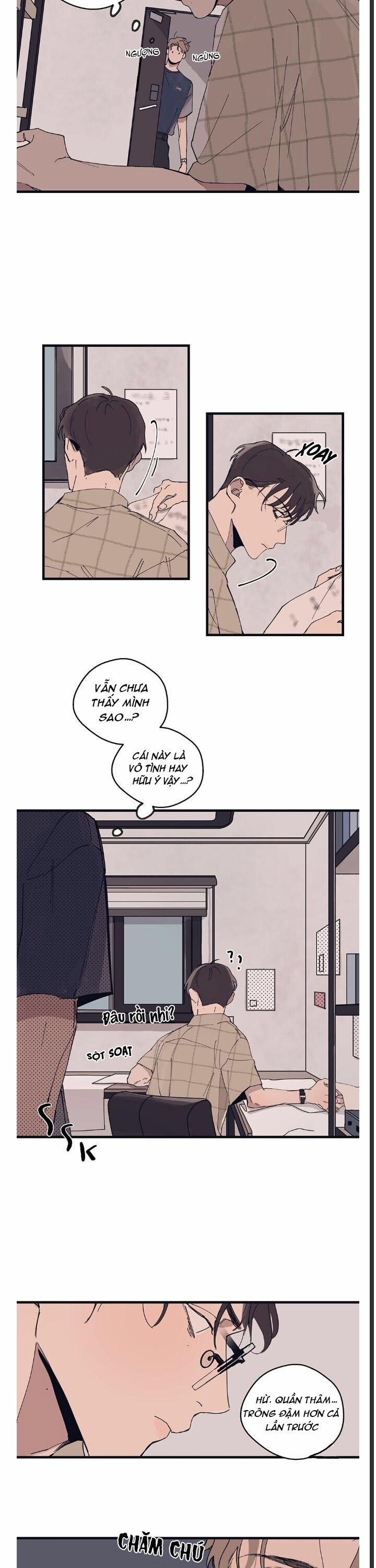 Ngôi Sao Trên Sàn Diễn 7 trang 2