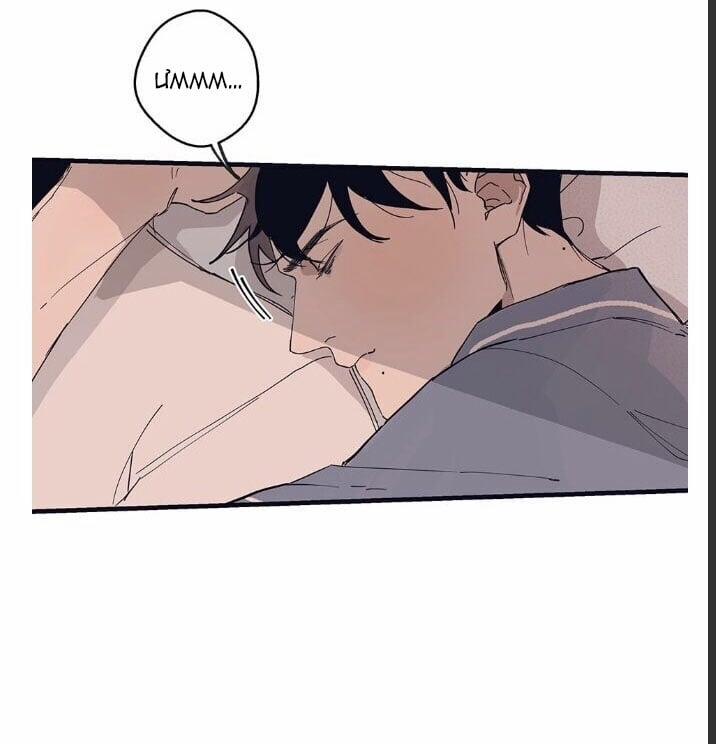 Ngôi Sao Trên Sàn Diễn 8 trang 1