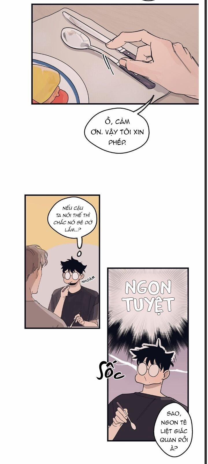 Ngôi Sao Trên Sàn Diễn 8 trang 11