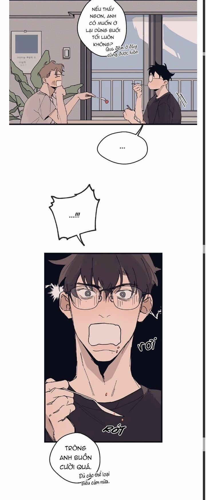 Ngôi Sao Trên Sàn Diễn 8 trang 13