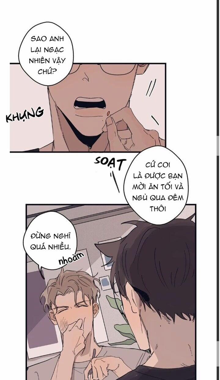 Ngôi Sao Trên Sàn Diễn 8 trang 14