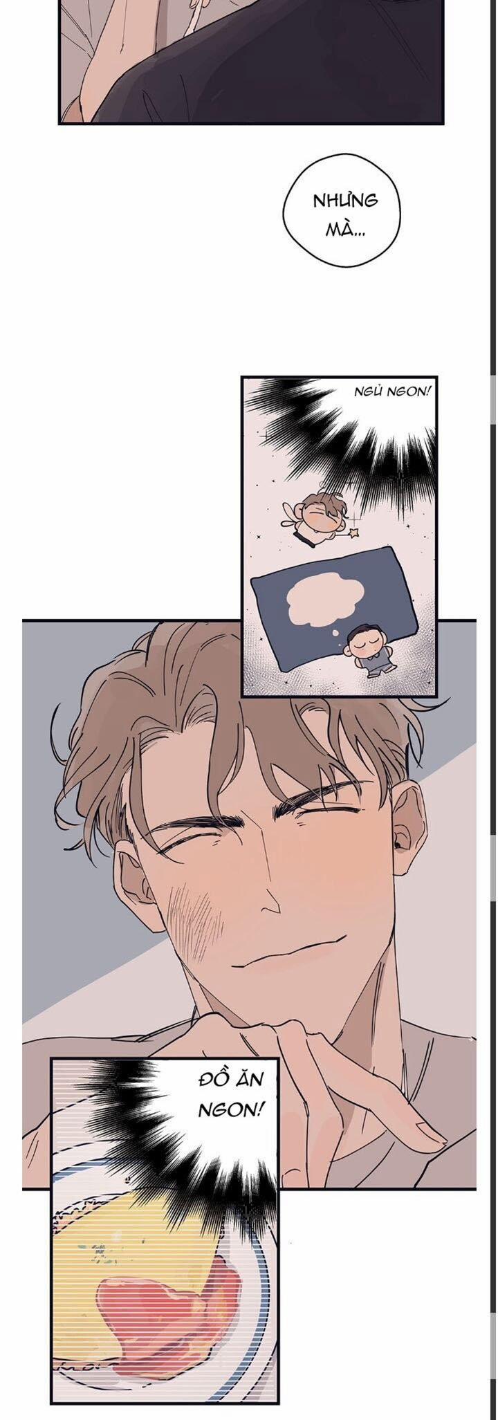 Ngôi Sao Trên Sàn Diễn 8 trang 15