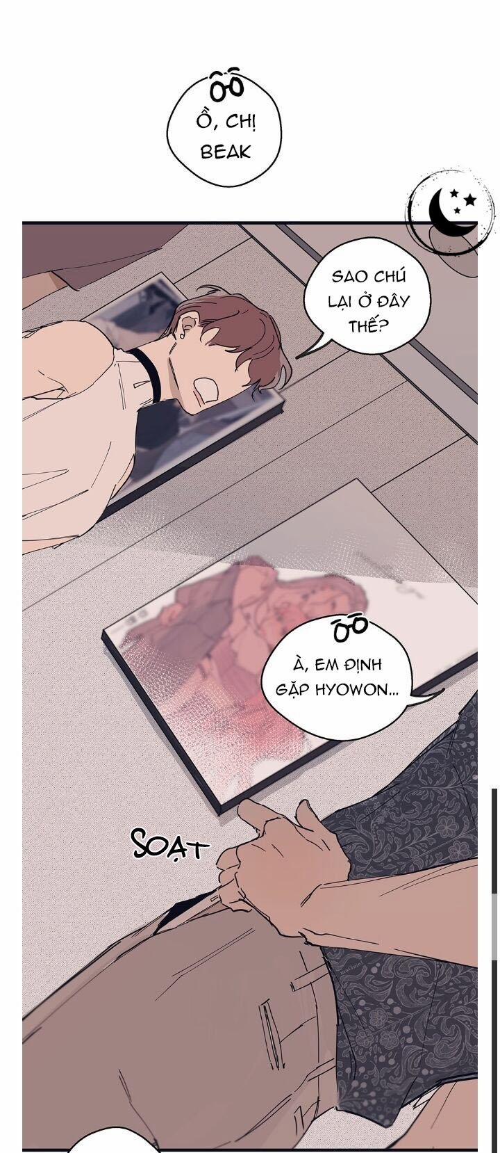 Ngôi Sao Trên Sàn Diễn 8 trang 18