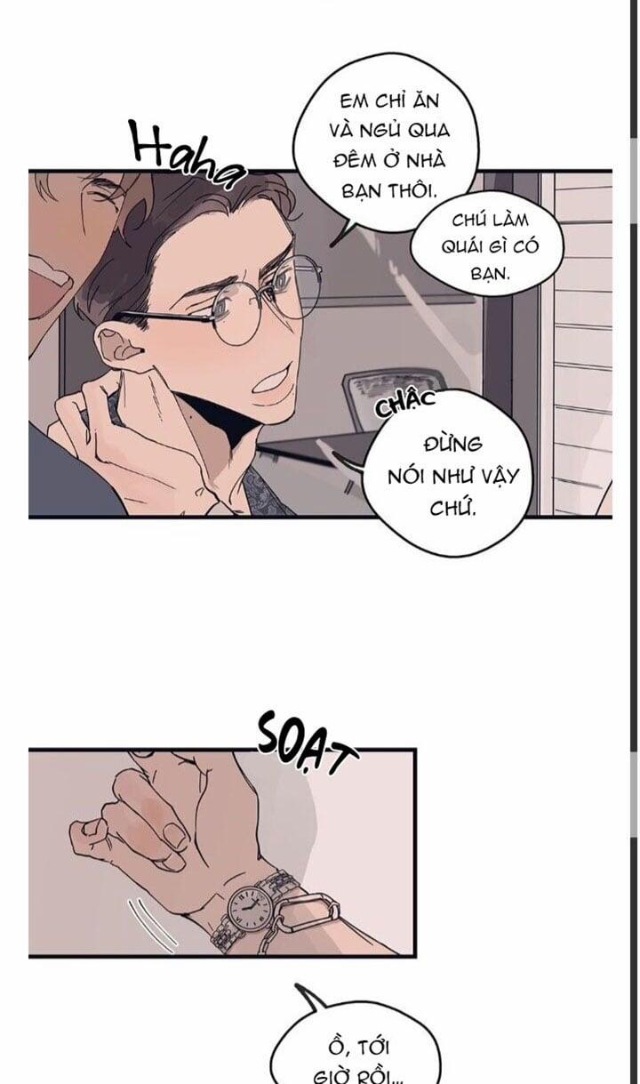 Ngôi Sao Trên Sàn Diễn 8 trang 27