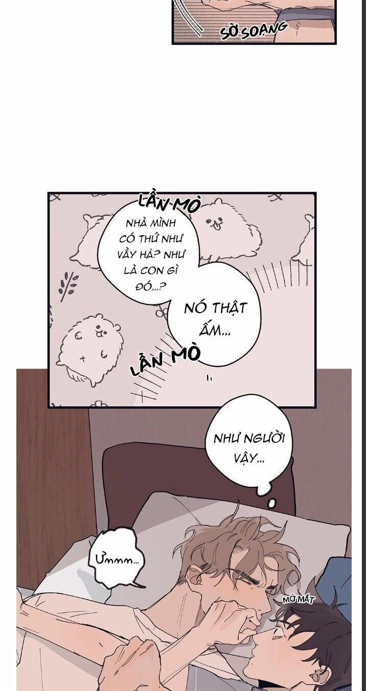 Ngôi Sao Trên Sàn Diễn 8 trang 3