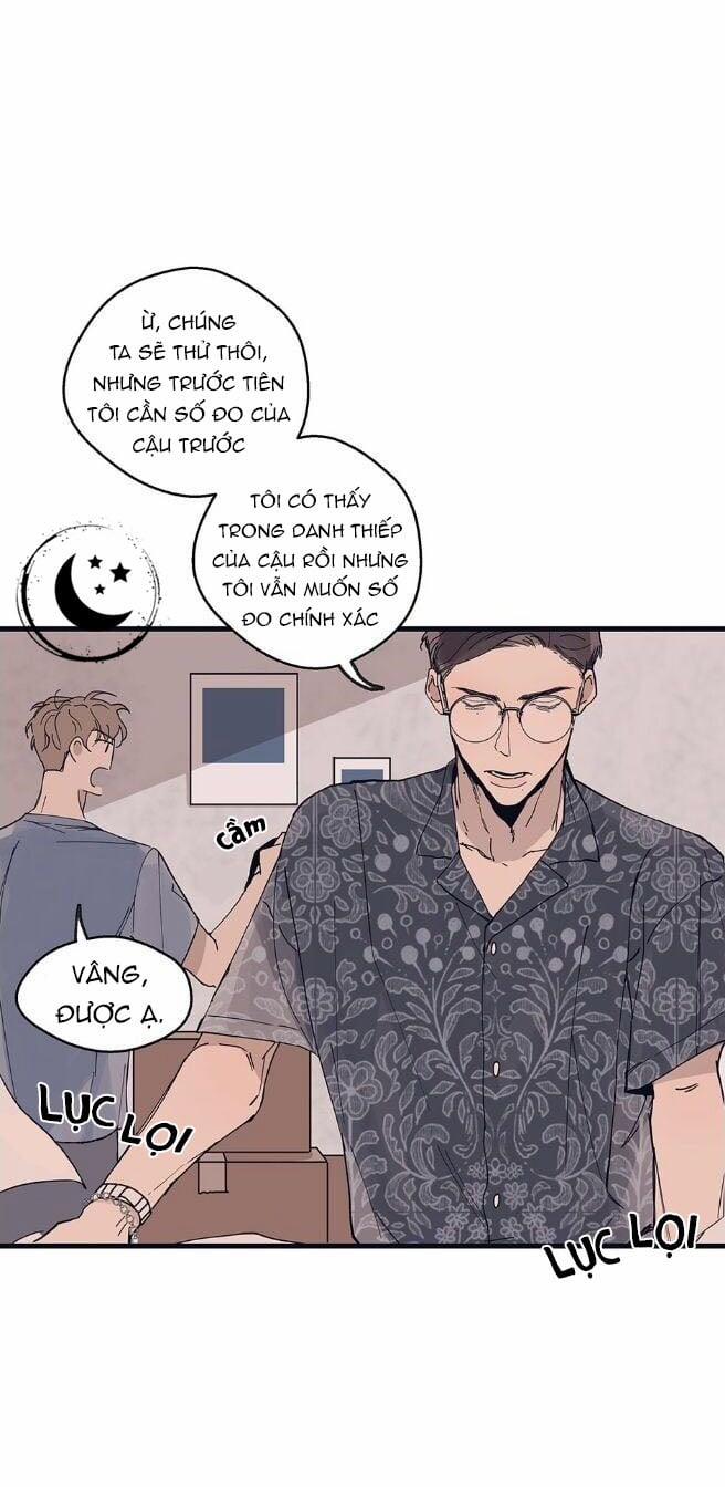 Ngôi Sao Trên Sàn Diễn 9 trang 11