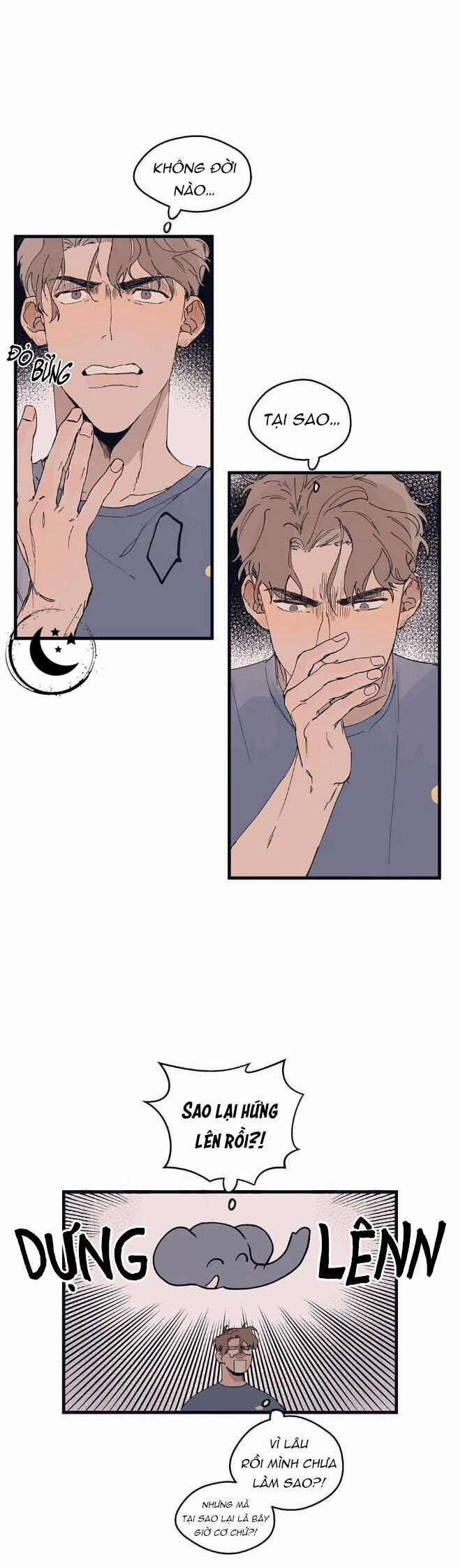 Ngôi Sao Trên Sàn Diễn 9 trang 20