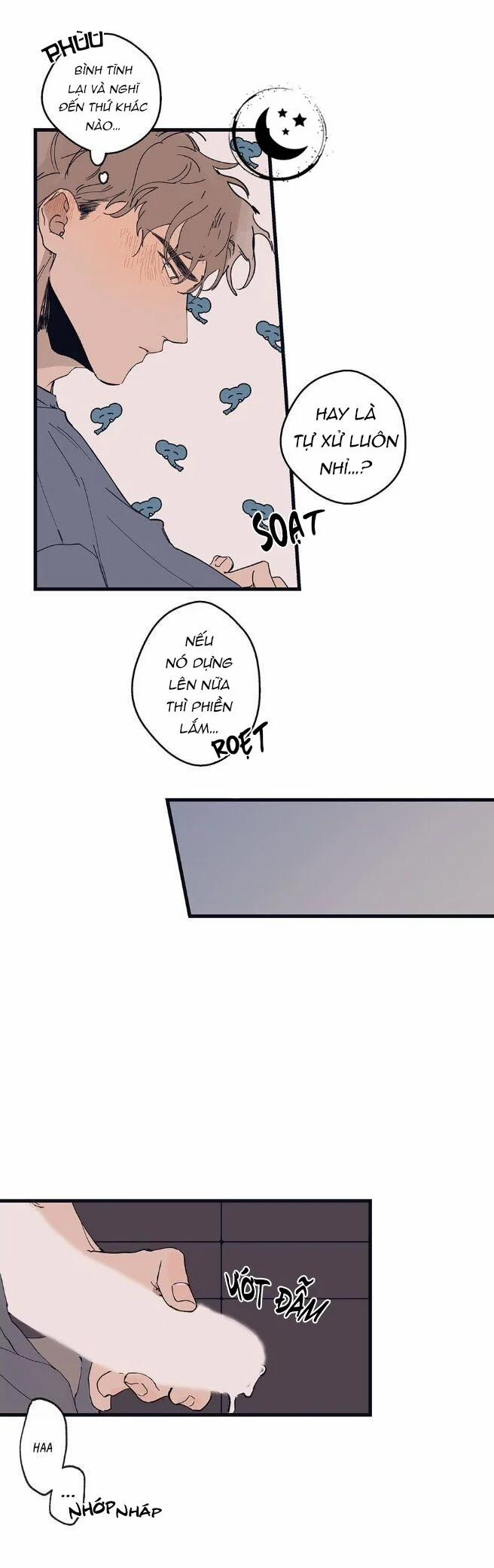 Ngôi Sao Trên Sàn Diễn 9 trang 21