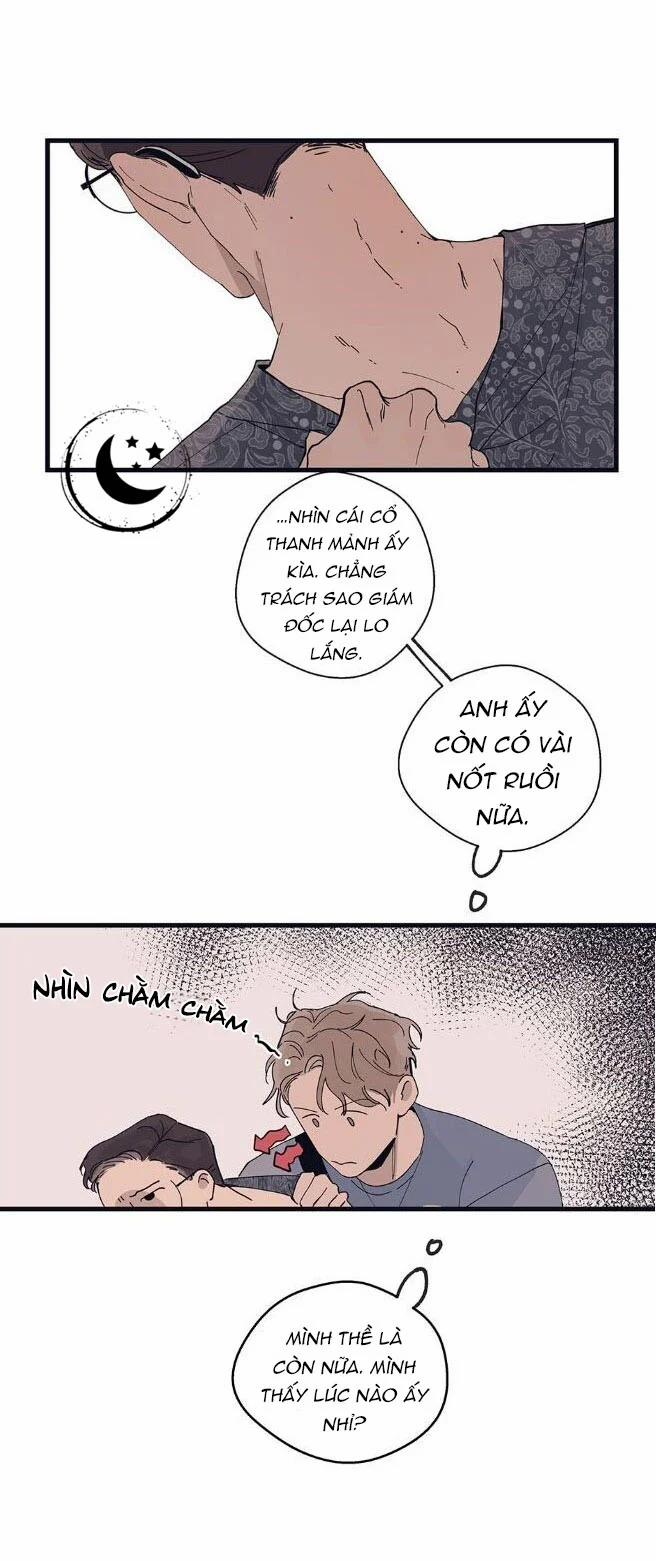 Ngôi Sao Trên Sàn Diễn 9 trang 4