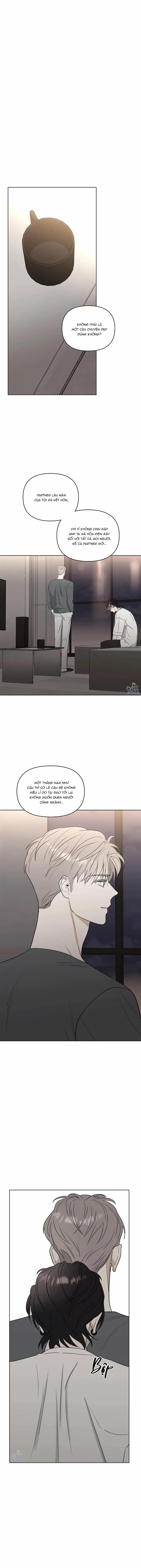 Ngôi Sao Vụt Sáng 14 trang 10