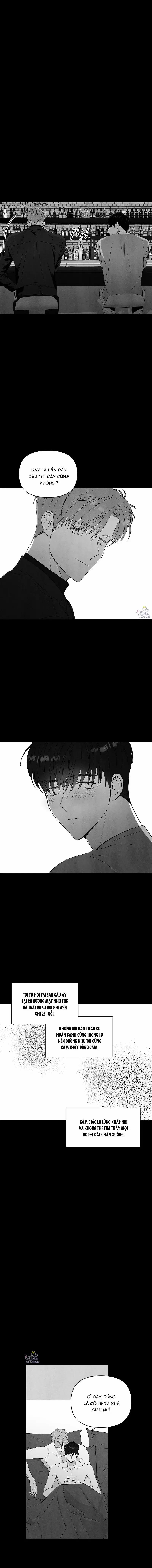 Ngôi Sao Vụt Sáng 14 trang 2