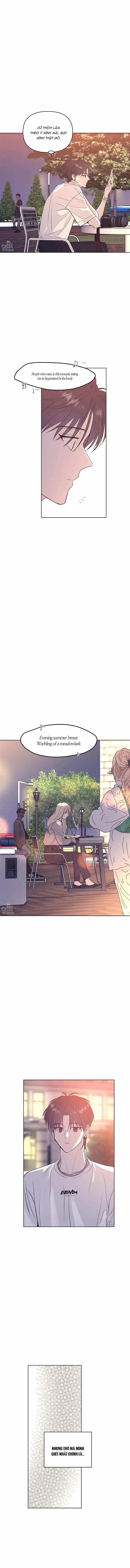 Ngôi Sao Vụt Sáng 21 trang 5