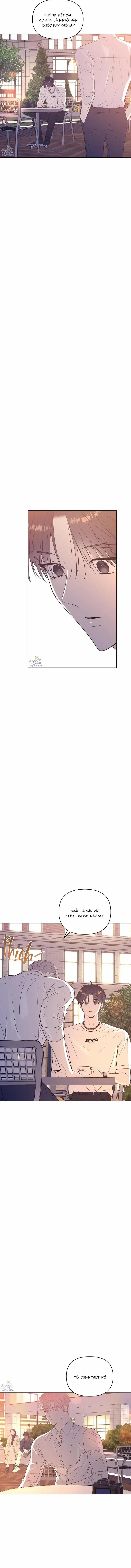 Ngôi Sao Vụt Sáng 21 trang 7