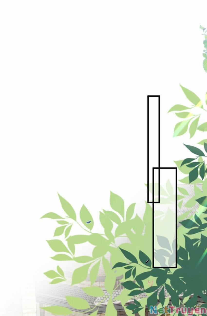 Ngôn Tiếu Loan Loan 23 trang 11