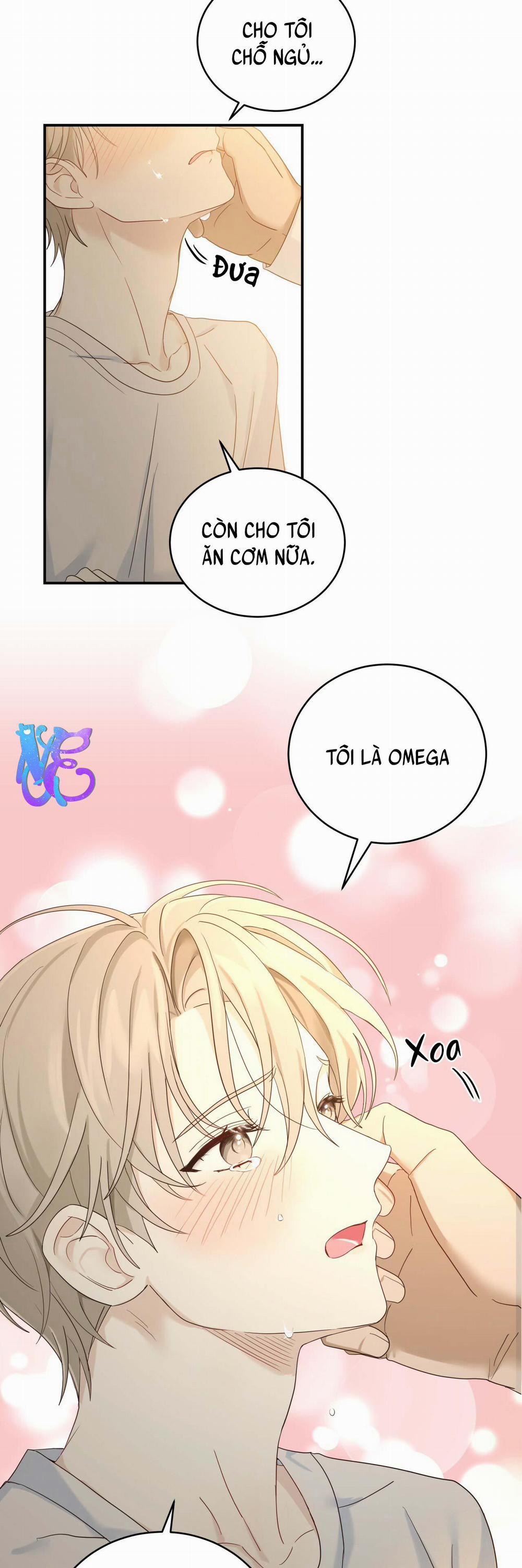 NGỌT NGÀO NÀY ĐỀU LÀ THẬT SAO? 4 trang 44