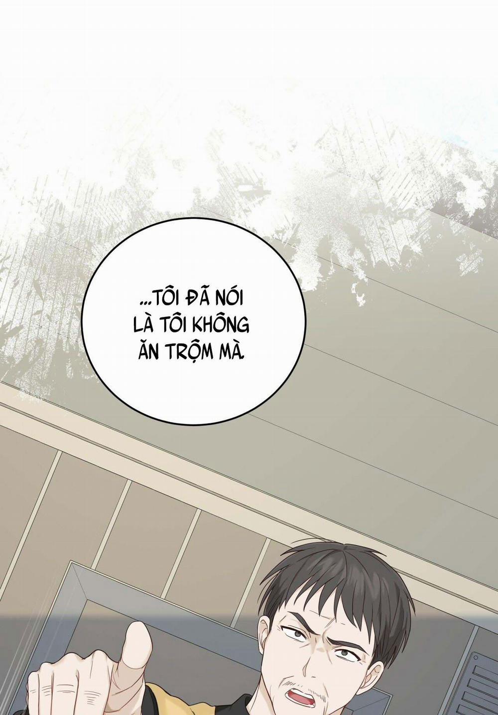 NGỌT NGÀO NÀY ĐỀU LÀ THẬT SAO? 6 trang 31